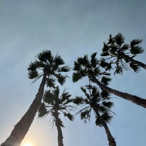 Meet your Posher, Kris 🖤